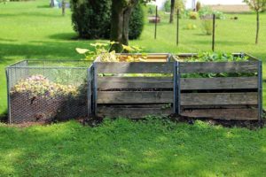 composting food waste helps plants grow