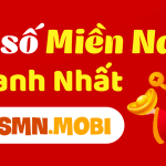 Khám Phá Diễn Đàn Sổ Xố Mobi – Nơi Chia Sẻ Kiến Thức và Kinh Nghiệm